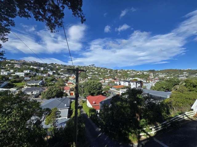 FRESHLY RENOVATED, SUNNY AND SPACIOUS 3-BEDROOM FLAT IN ISLAND BAY!