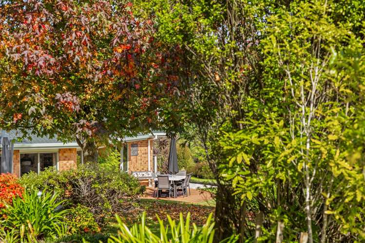 1152A East Coast Road Redvale_6