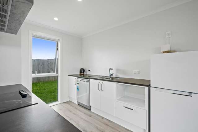 90 Hinemoa Street Levin_2