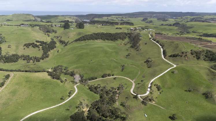 147 Fuller Road, South Head Helensville_8