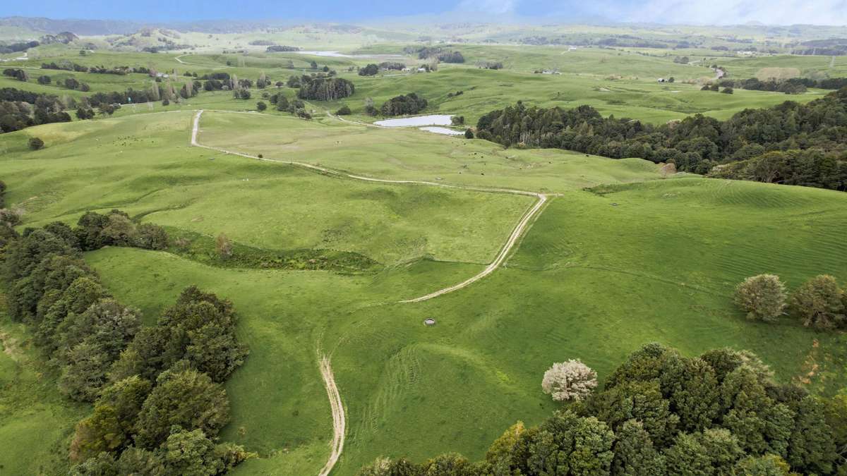 2051 Paparoa-Oakleigh Road_0