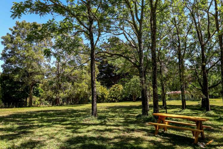 248 Surrey Hill Road Kaitake_18