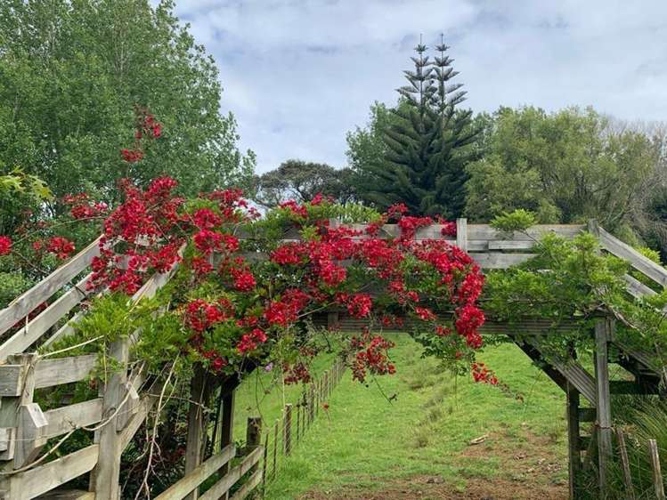 1124 Awhitu Road Waiuku_22