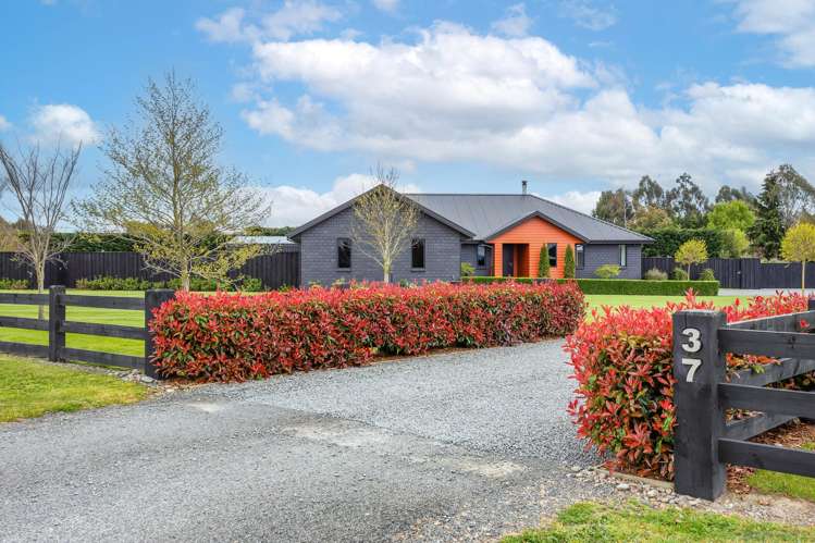 37 Braeburn Crescent Swannanoa_3