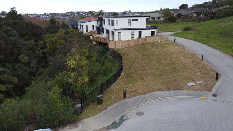 31, 29, 12 McMenamin Place_1