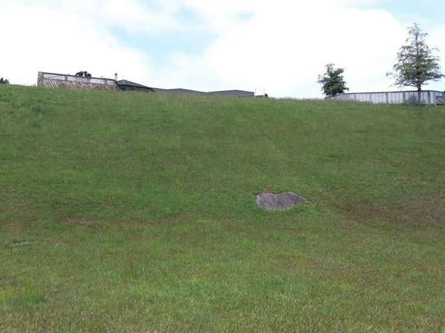 233 The Booms Avenue Thames_2