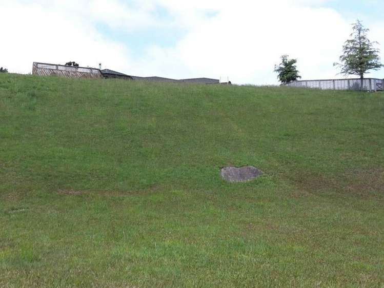 233 The Booms Avenue Thames_2