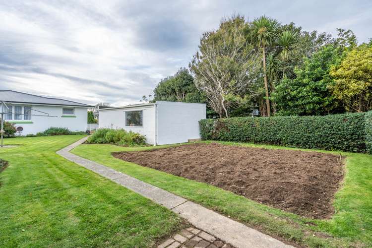 53 Helmsdale Street Waverley_15