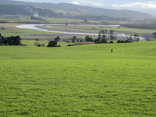 Western Southland Sheep & Beef/Forestry