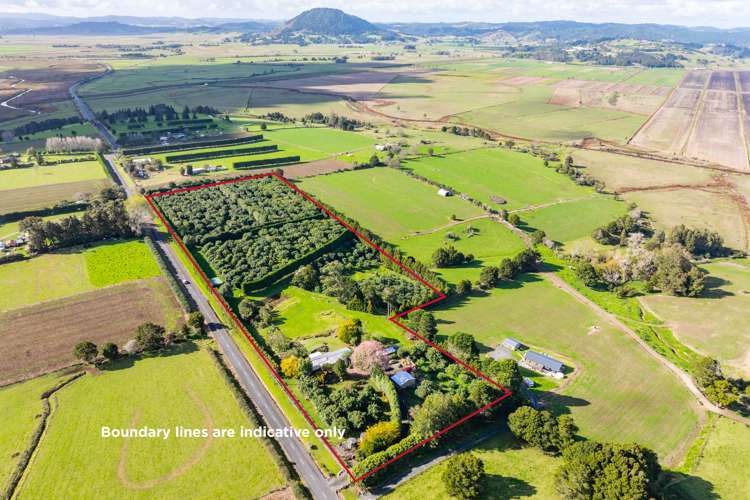 160 Rushbrook Road Ruatangata West_22