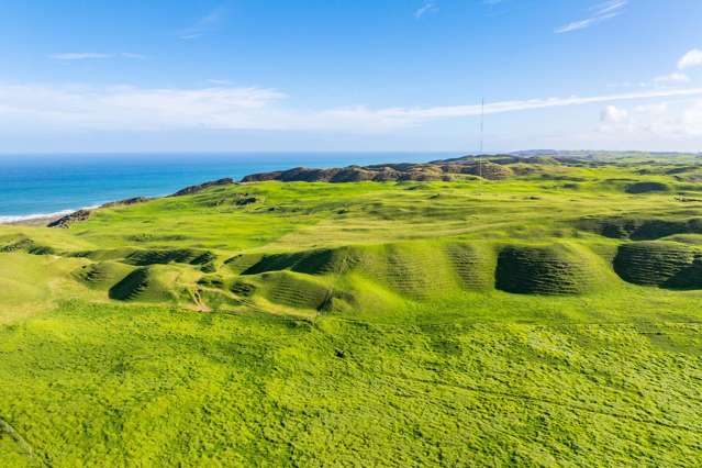 Pinaki Road Dargaville_1