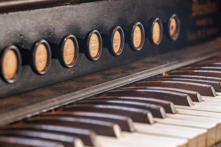 131A Vauxhall Road Devonport_10