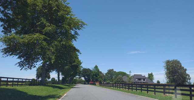 Tauranga Road Matamata_2