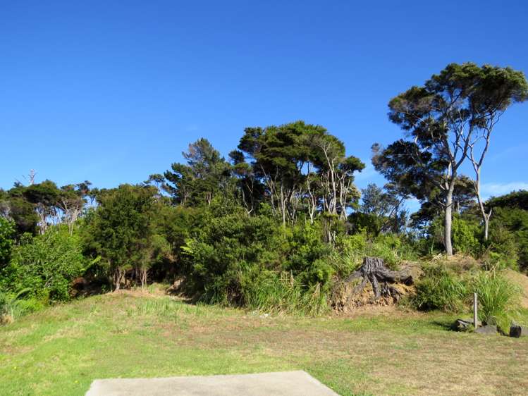 614 Wyuna Bay Road Coromandel_7