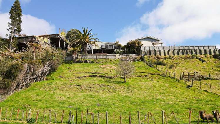 14 Taiporutu Place Springfield_15