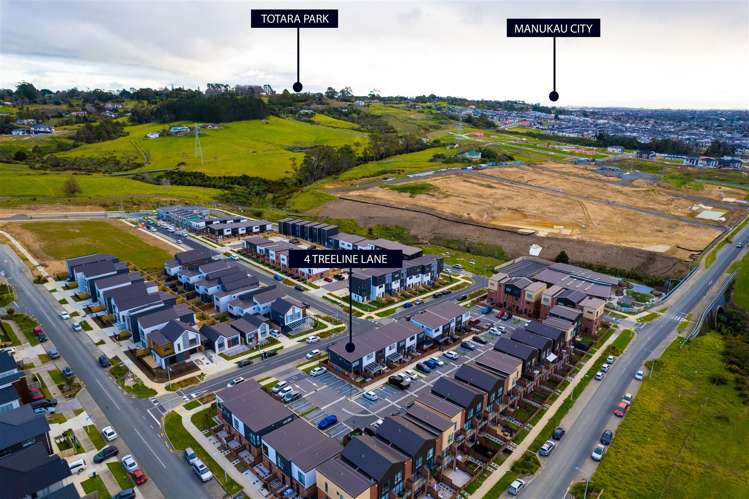 4 Treeline Lane Flat Bush_22