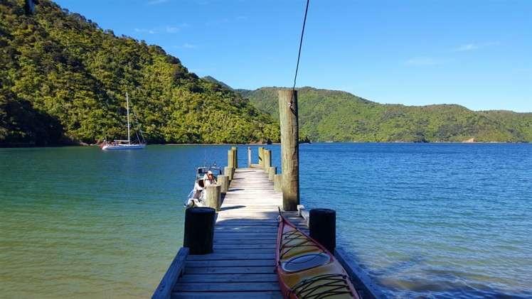 Torea Moua Bay Marlborough_18