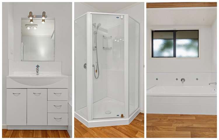 40A Princess Road Bellevue_2