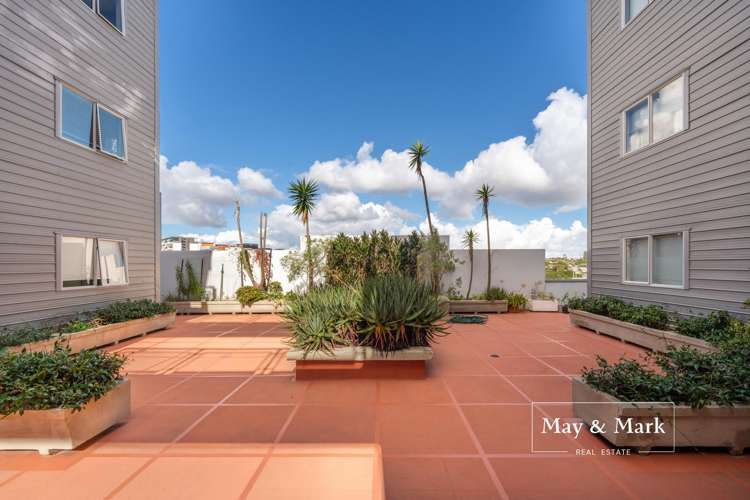 1F/1 Ophir Street Grey Lynn_1