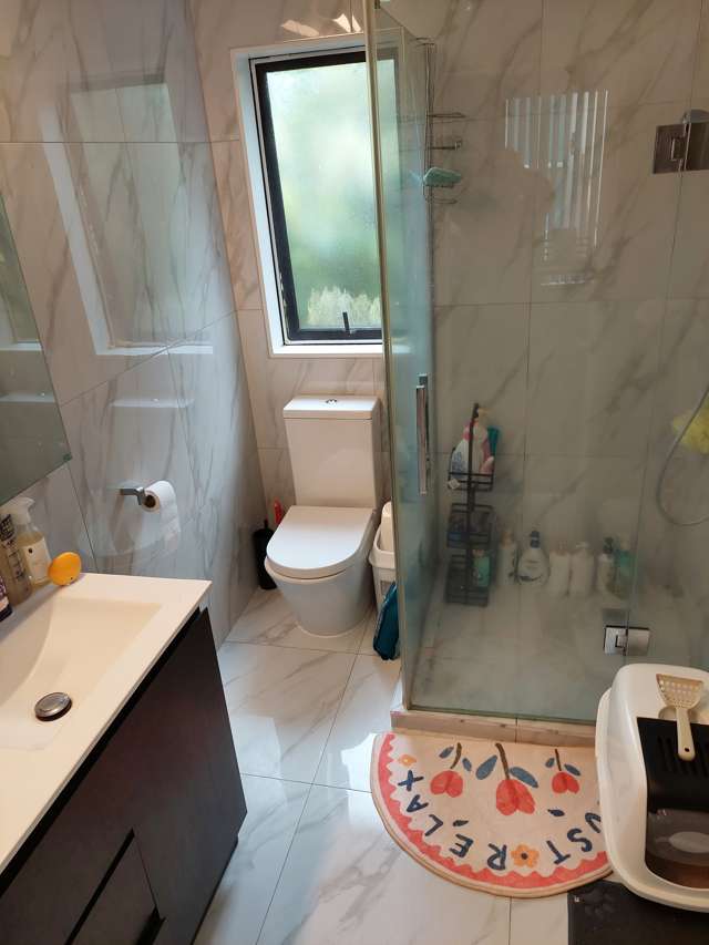 15A Meteor Place Albany_2