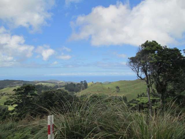 483 Waiotemarama Gorge Road Waimamaku_4