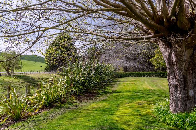 774 Westmere Road Carterton_15