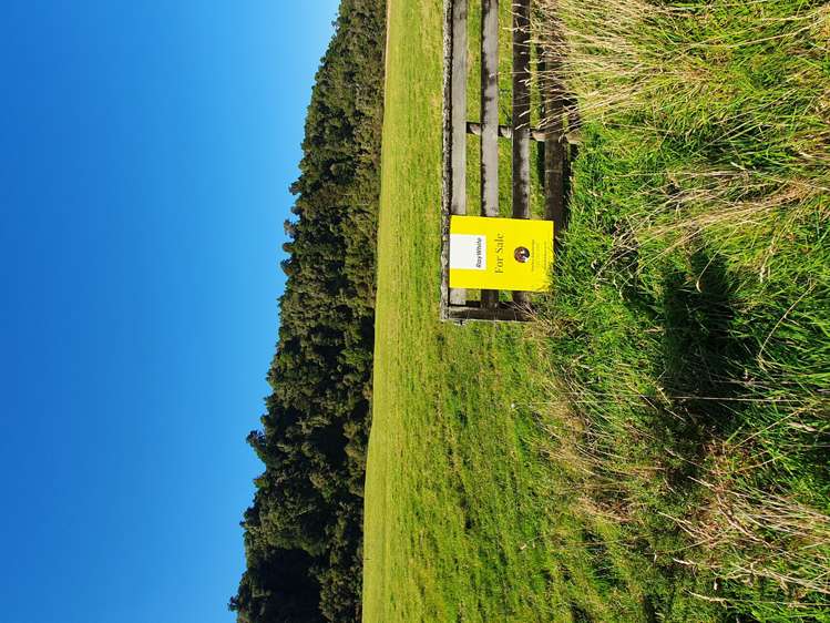 Blue Spur Road Hokitika_13