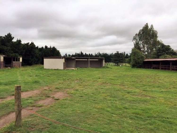 99 Torlesse Road West Melton_4