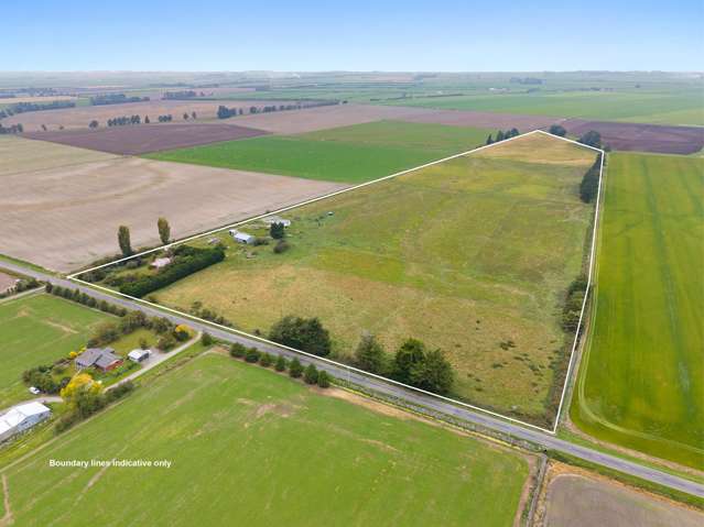 Diamond in the Rough