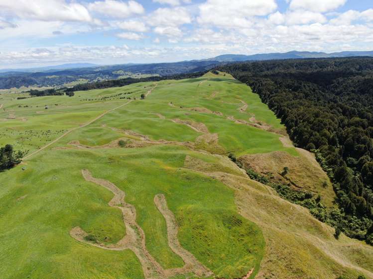 537 Tapuwae Road Benneydale_20