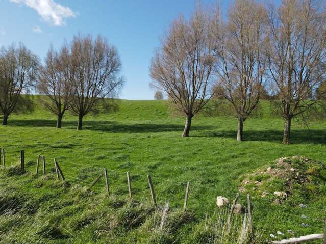 592 Pinfold Road Woodville_3