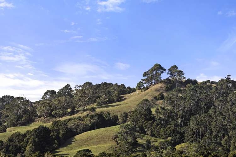 31 Laly Haddon Place Matakana_20