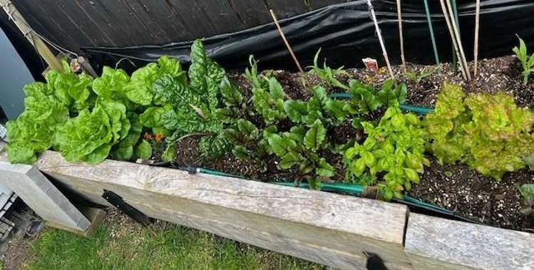 47 Shuttleworth Place Manly_33