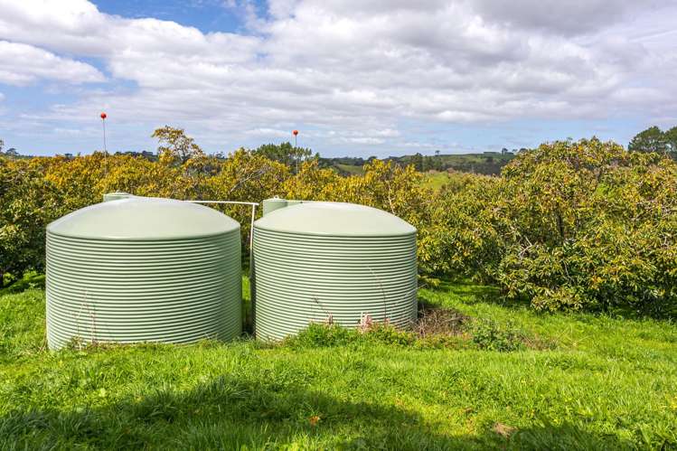 231 Walford Road Aongatete_31