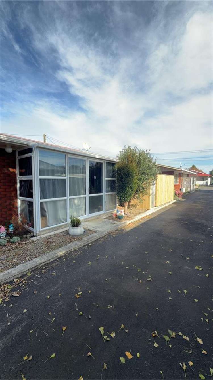 19b Norman Street Vogeltown_11