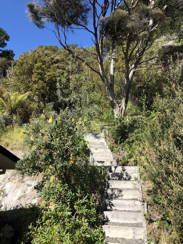 1206e Hikuai Settlement Road Pauanui_15