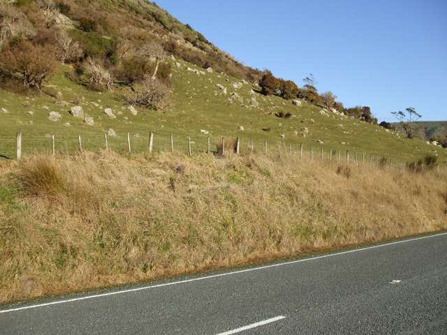 Papatowai Highway Papatowai/Pounawea_4