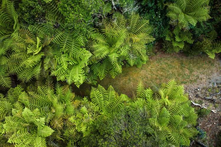 183 Rangitane Road Kerikeri_18