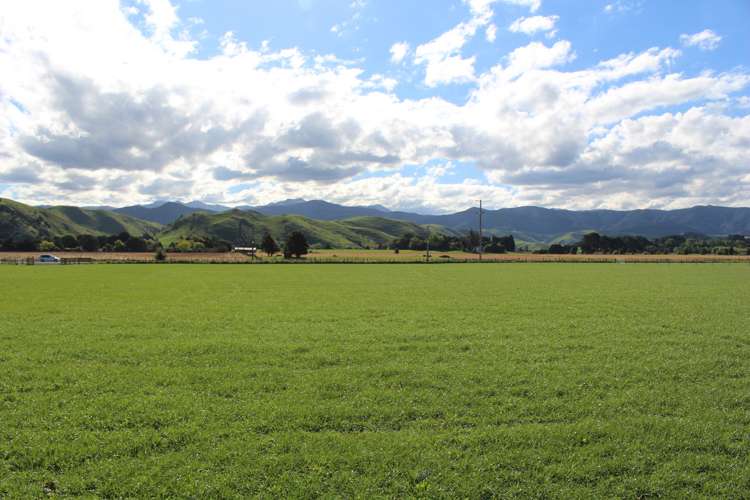 1562 State Highway 2 Kiriwhakapapa_18