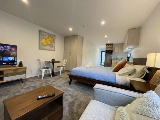 1/73 Ferry Road Christchurch Central_1