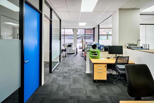 14 Rutherford Street Hutt Central_2