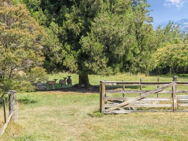 7 Mcgregor Road Clevedon_15