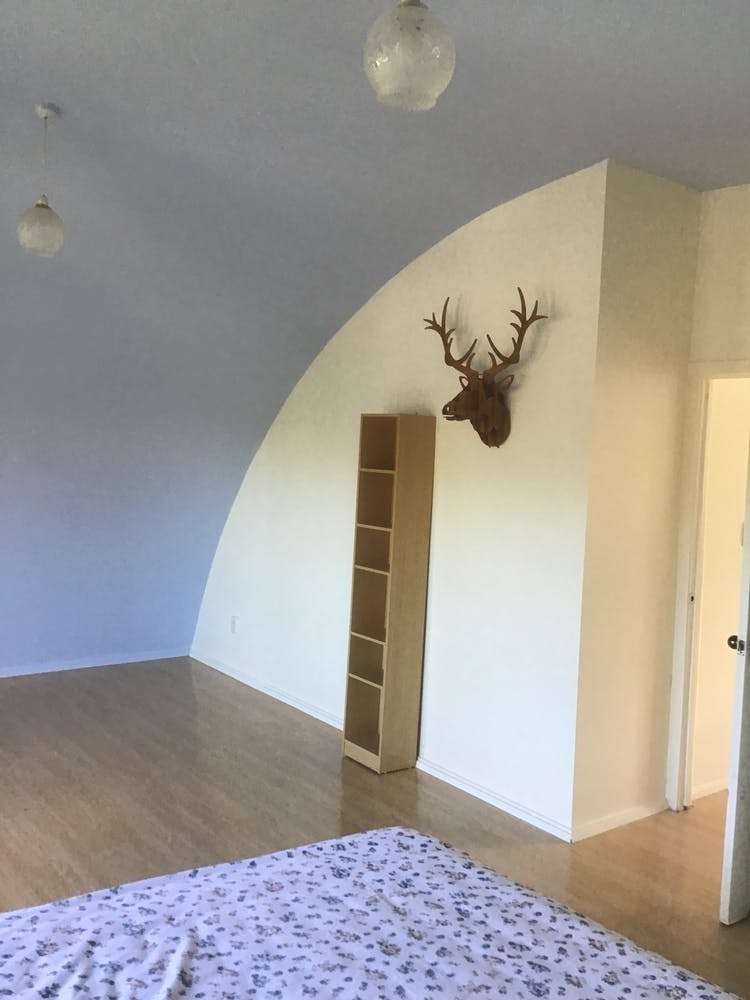 139 Don Buck Road Massey_11