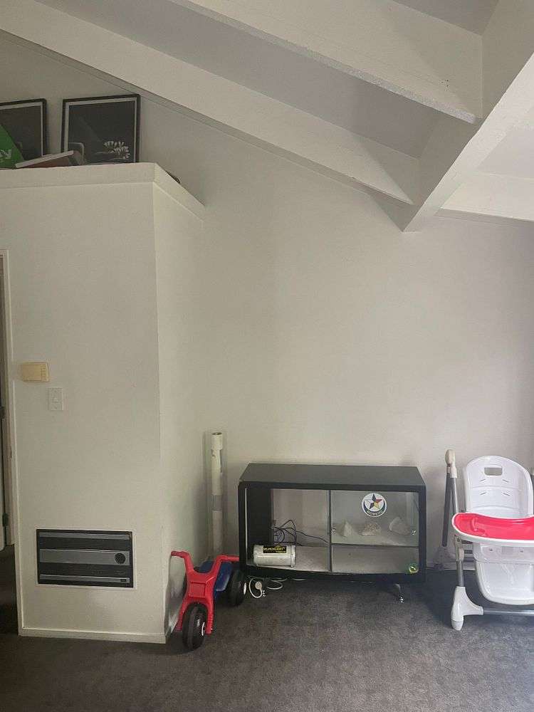 12 Mill Lane Whitiora_8