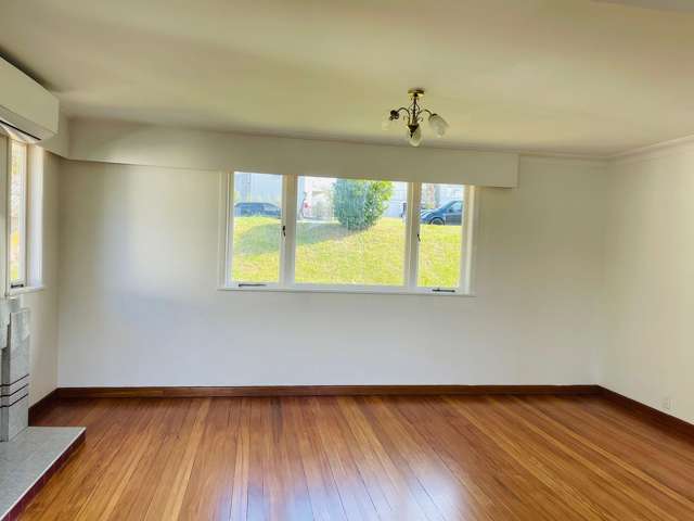 3 Marion Avenue Mount Roskill_2