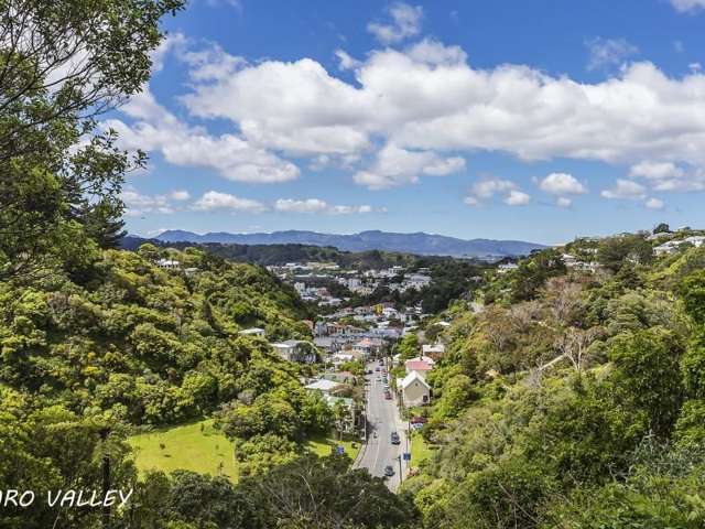 11 Irvine Street Aro Valley_1