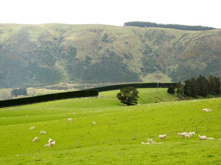 171 Monavale Road Albury_22