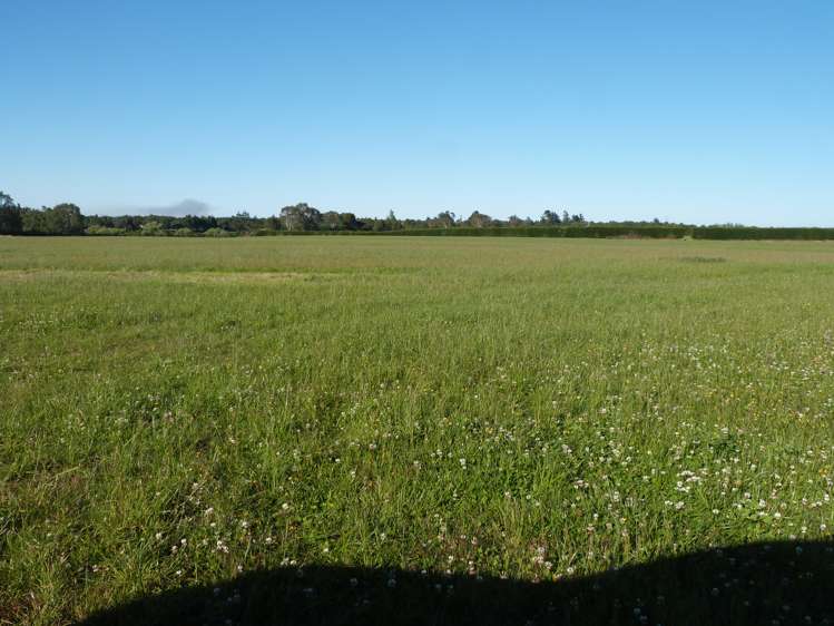 750 Rakahouka Hedgehope Road Mabel Bush_6