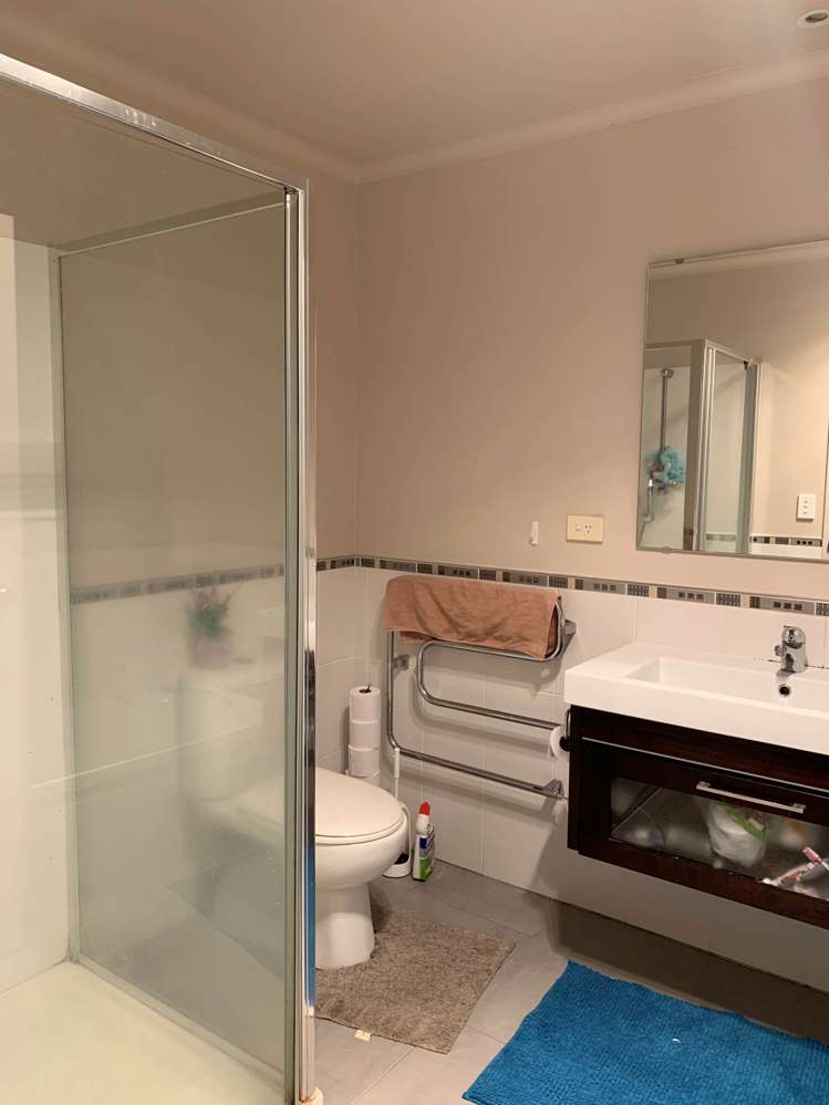 47 Mandival Avenue Flat Bush_5