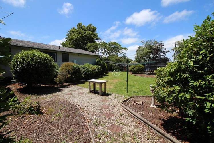 15 Wilson Street Bulls_11